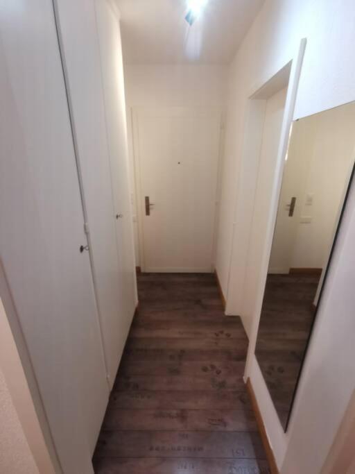Lentulusskyappartement Apartment Bern