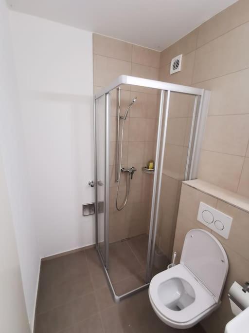 Lentulusskyappartement Bern