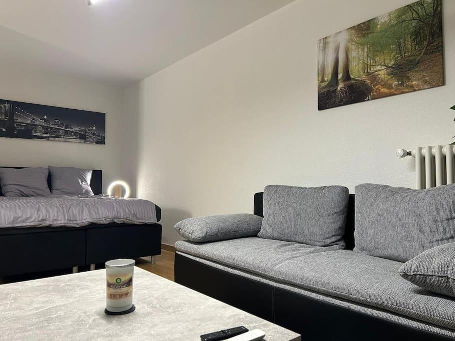 Apartmán Lentulusskyappartement