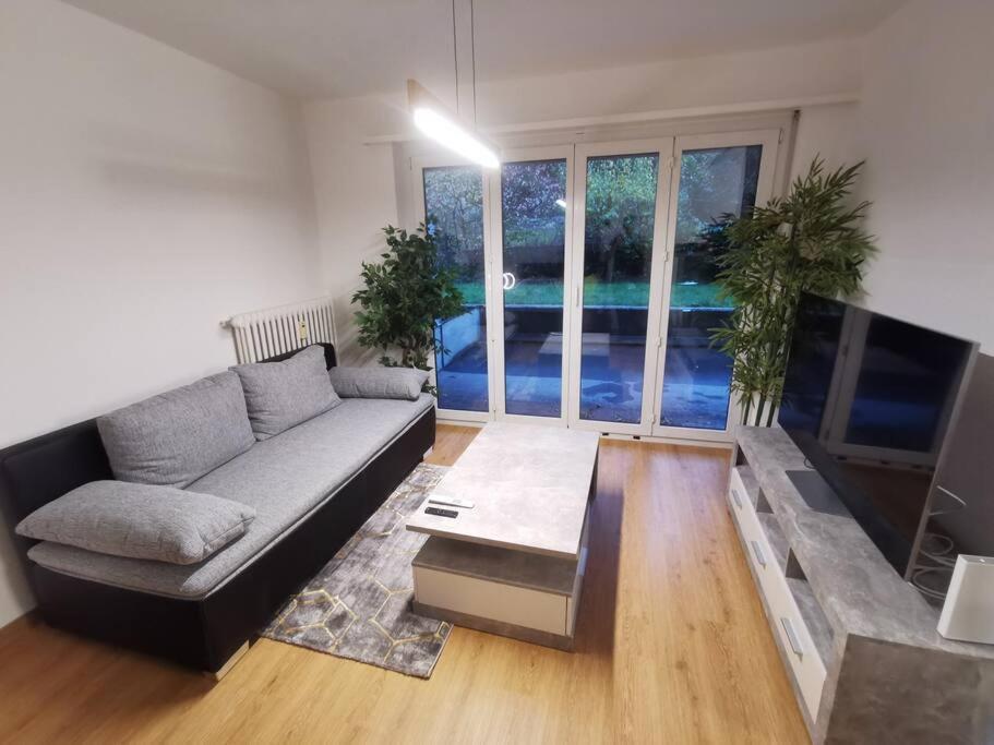 Lentulusskyappartement Apartment Bern